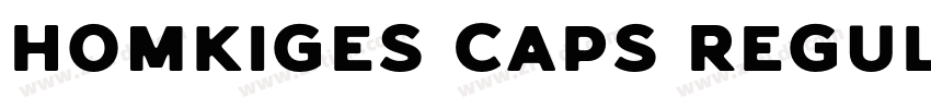 Homkiges Caps Regula字体转换